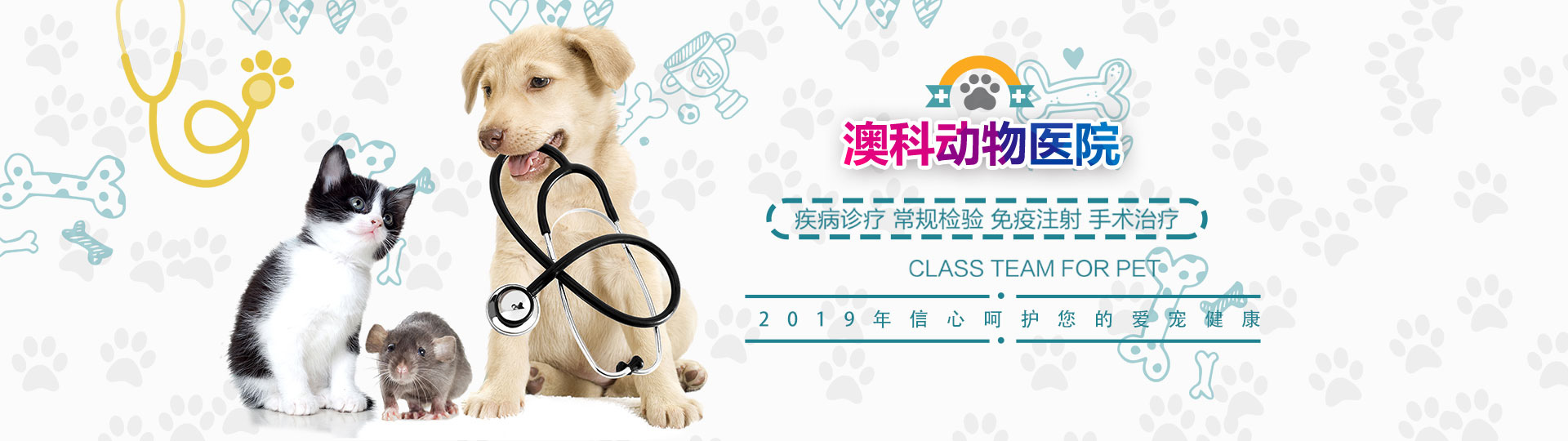 洛陽市洛龍區澳科動物醫院