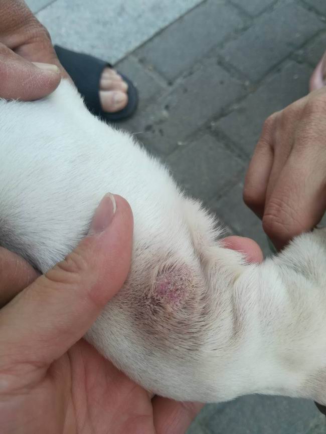 1558939485129090.jpg 8f1ab7a2dcd36f18d96c719bb2e39ca.jpg