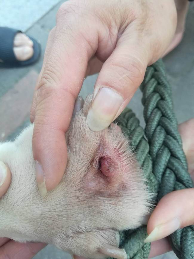 1558939498383291.jpg b77d208b32367cfcfa17cacce55cd95.jpg