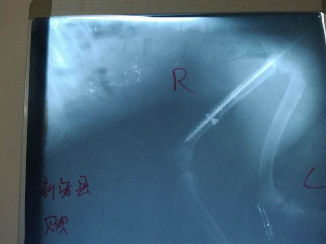 1558939603726278.jpg 620ec54b9b0aa5152f584b85fb1e54c.jpg