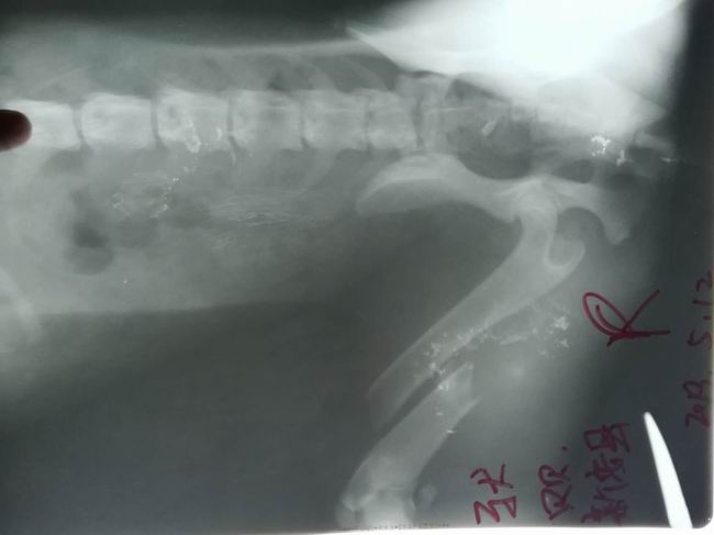 1558939609395642.jpg d4043b96a7ecfd8c078470951891ea8.jpg