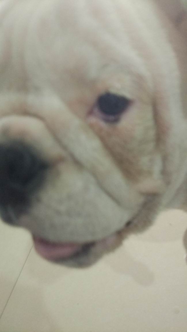 1561773022664339.jpg 手術(shù)后.jpg