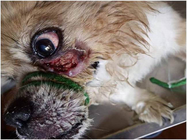 1564637572991284.jpg 2B3B83A3-D015-4320-8AC6-6908E54C76B9.JPG