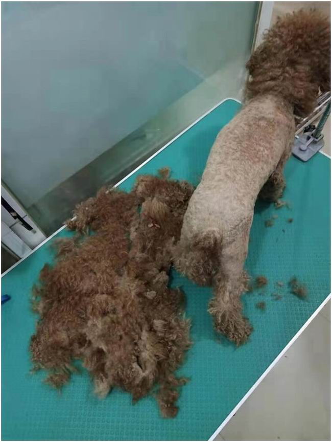 1564637631932288.jpg 3CBC1335-1992-433B-90BD-8ADF15944FD5.JPG