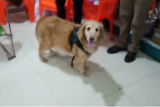 1567406721187051.jpg 4.JPG