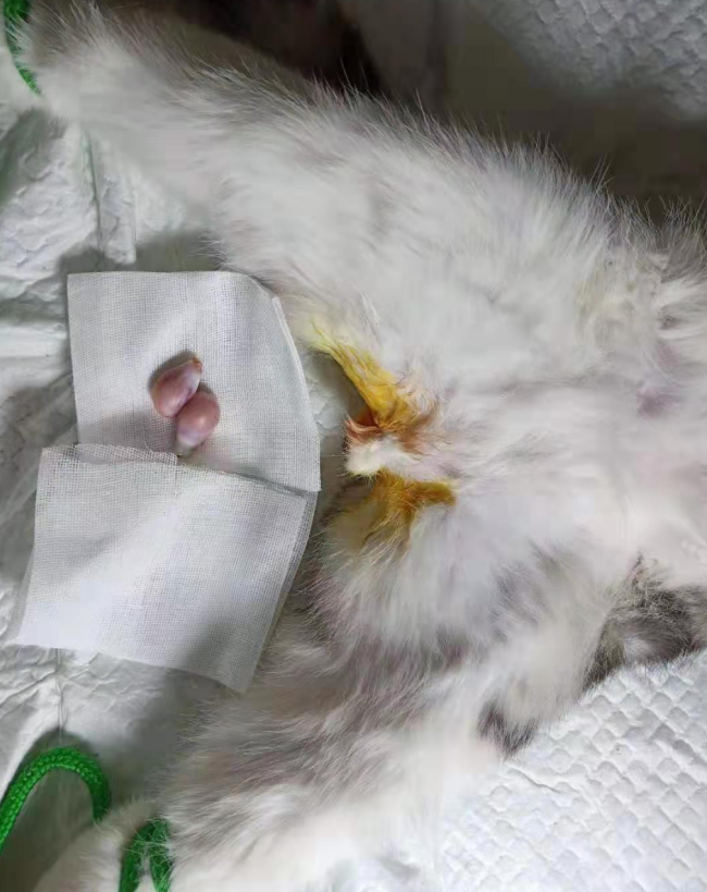 1567407092404802.png image.png