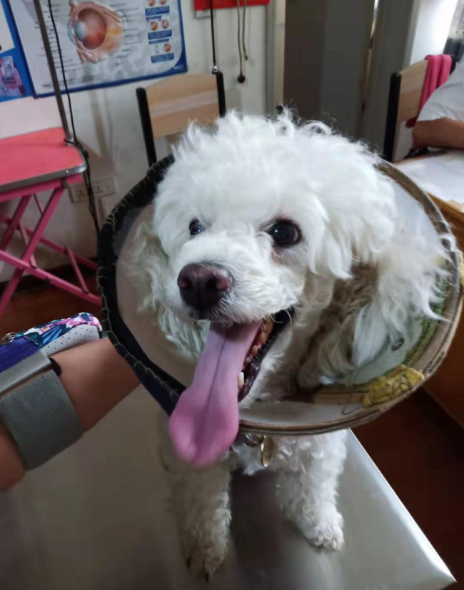 1567407130430920.png image.png