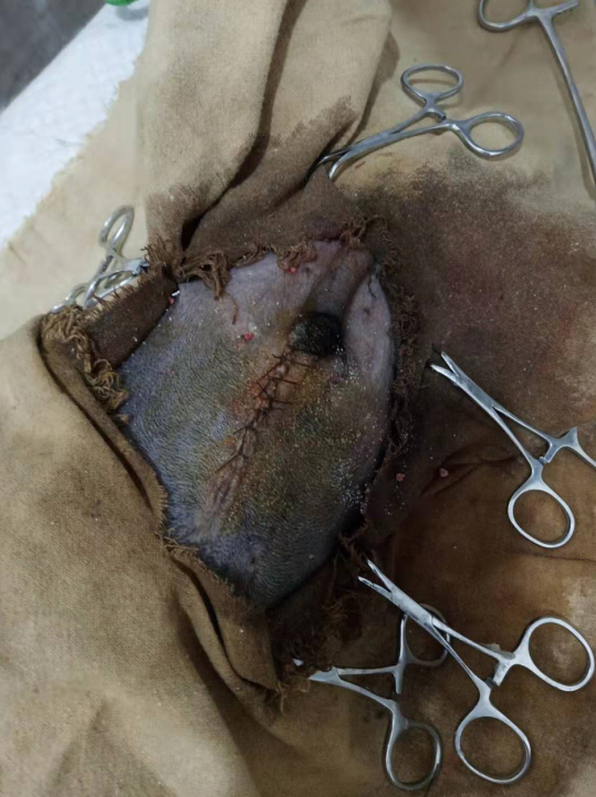 1574151944589934.png blob.png