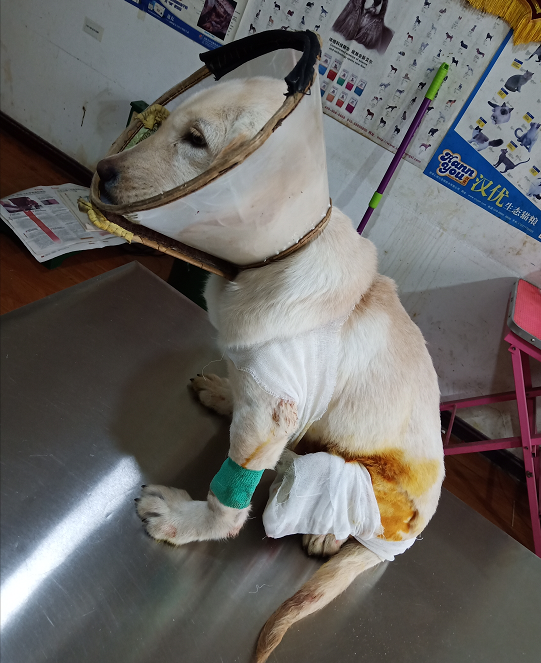 1576837025591226.png blob.png