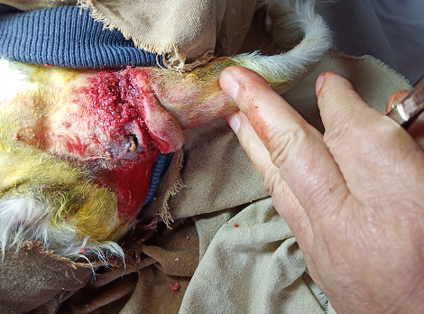 1576837166759222.png blob.png