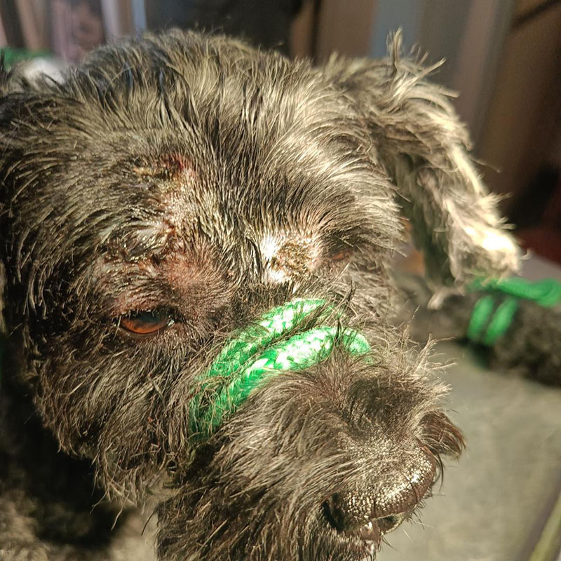 1721610211719689.jpg 圖片4.jpg