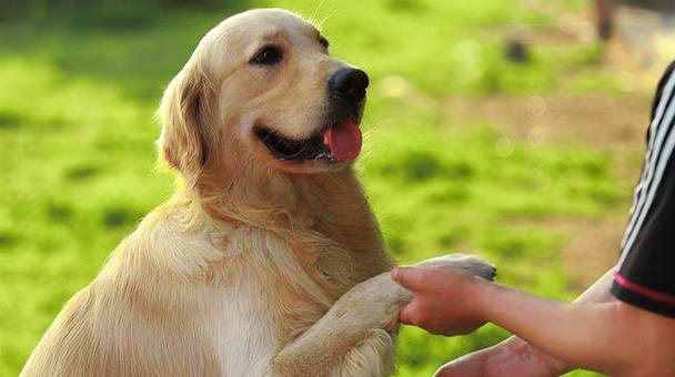 1722653355113770.jpg 1.jpg